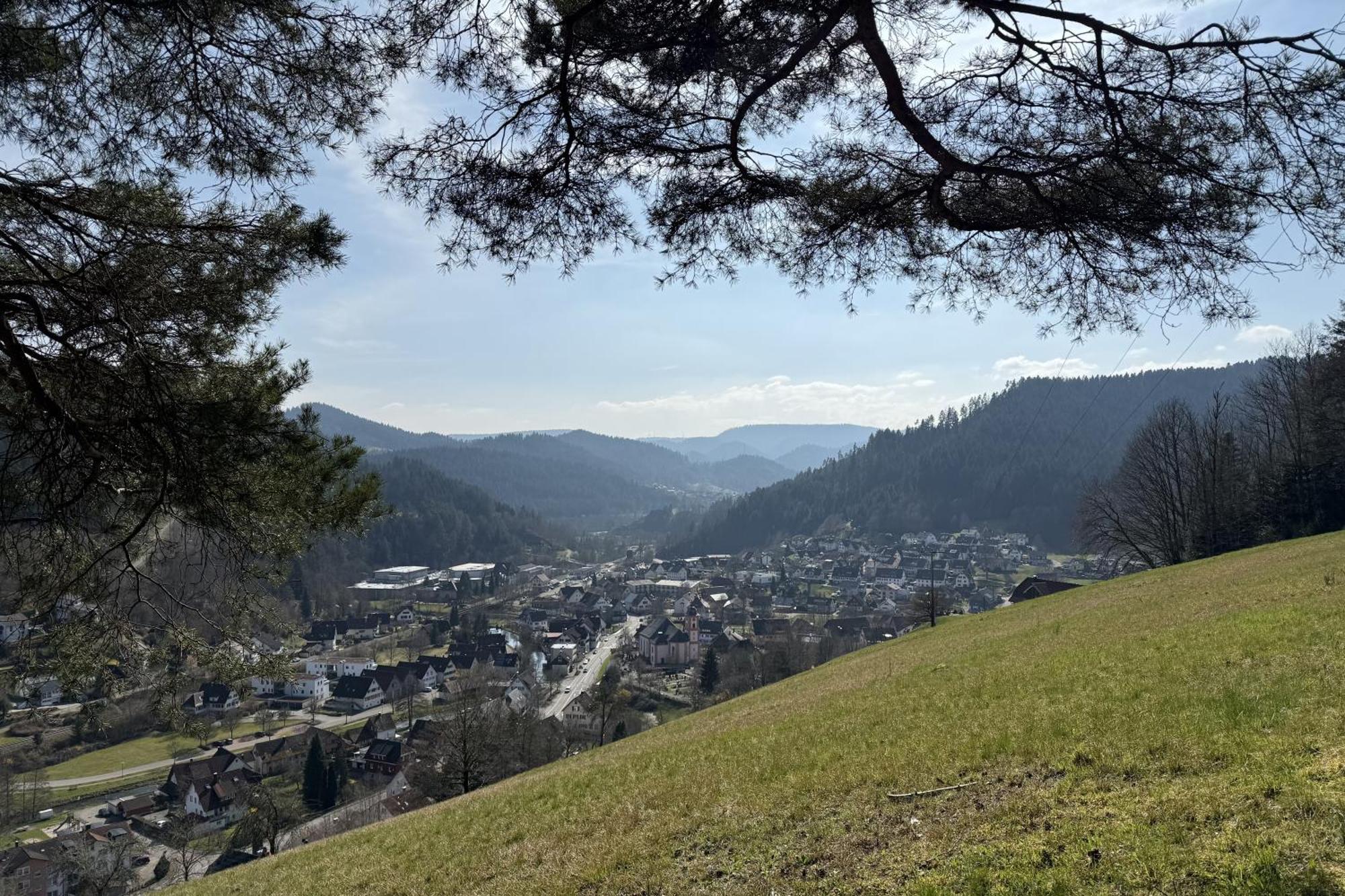 Schwarzwald Blockhaus - Sauna - Kamin - Mit Bettwaesche Und Handtuecher Schenkenzell Luaran gambar
