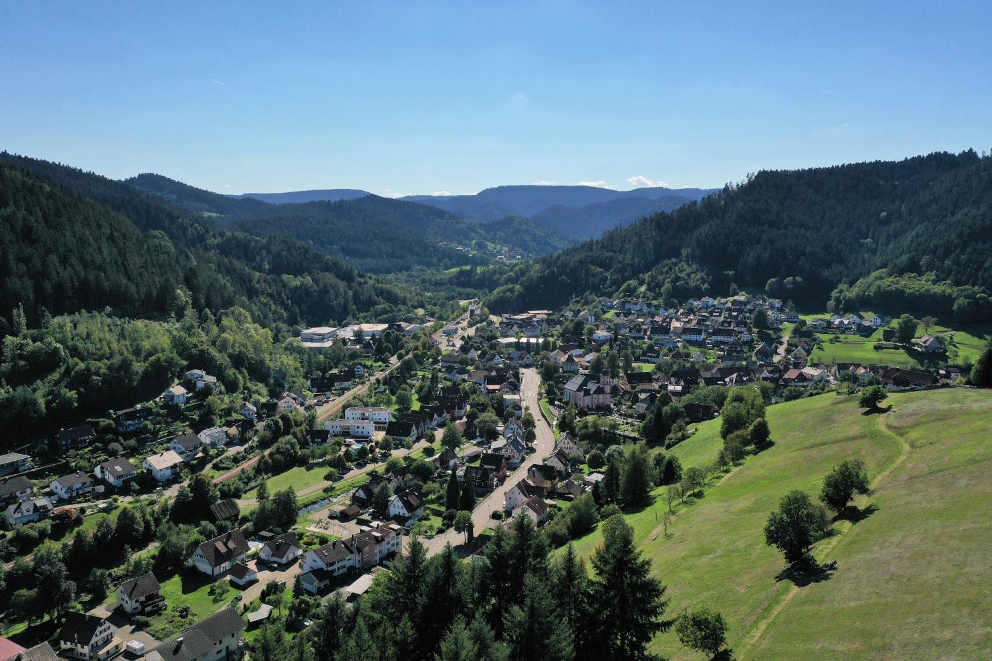 Schwarzwald Blockhaus - Sauna - Kamin - Mit Bettwaesche Und Handtuecher Schenkenzell Luaran gambar